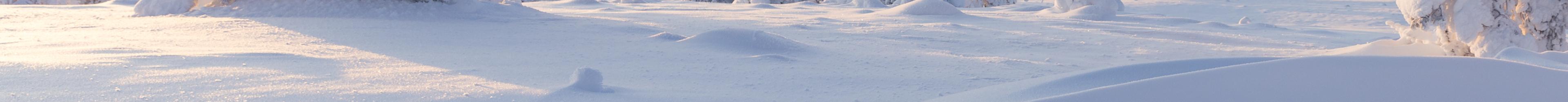 Tykkylumipuut ja lumipenkat