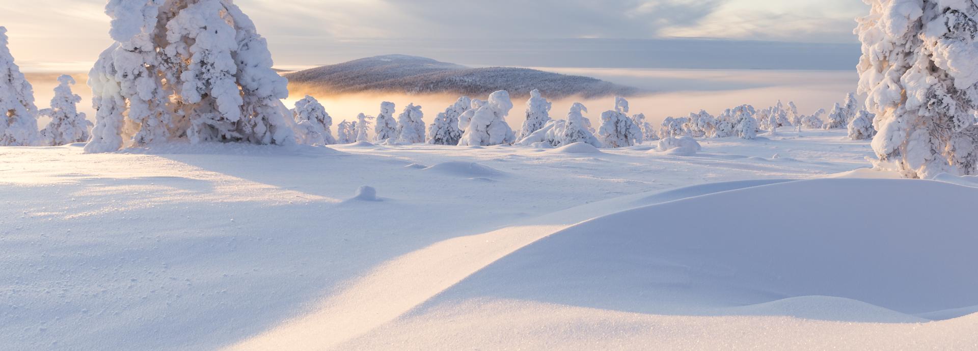 Tykkylumipuut ja lumipenkat
