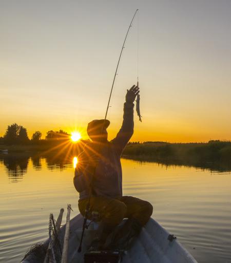 Kalastaja auringon laskiessa