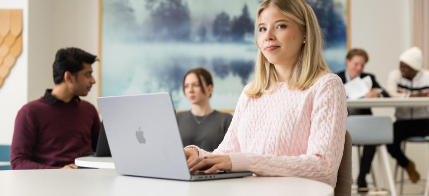 Lapin AMK / Ville Rinne