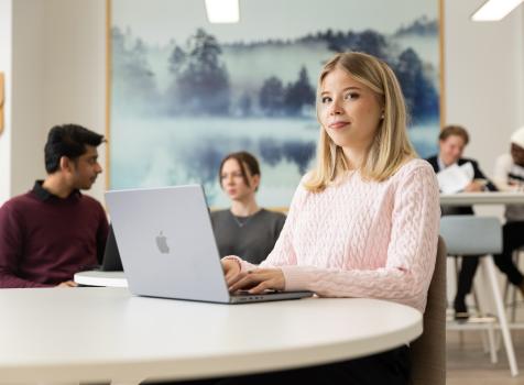 Lapin AMK / Ville Rinne