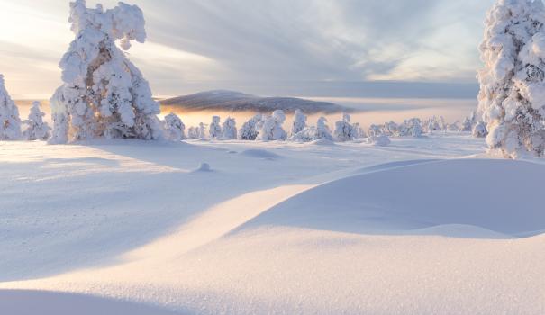 Tykkylumipuut ja lumipenkat